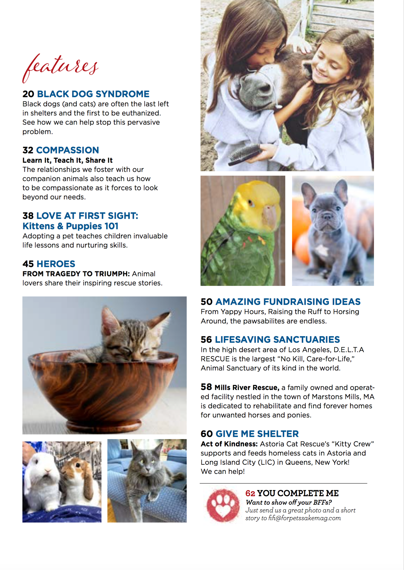 FOR PETS' SAKE TOC PART 2- JPEG.png