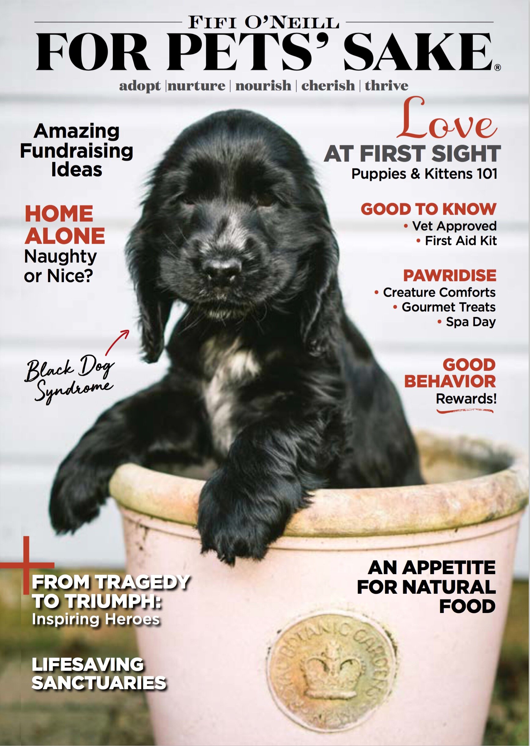 FOR PETS' SAKE JPEG COVER.jpeg